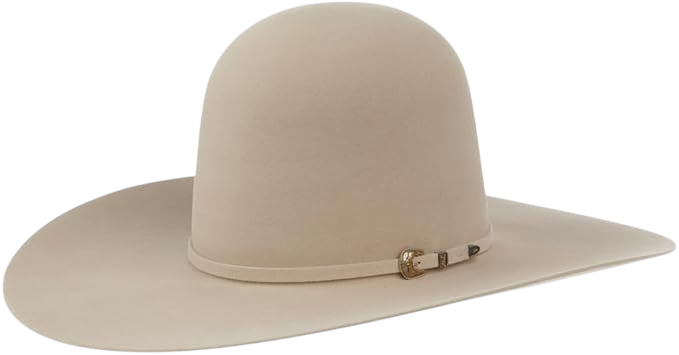 60X Silverbelly 4 1/2 Inch Brim Open Crown Felt by Rodeo King